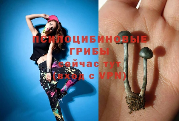 герыч Абинск