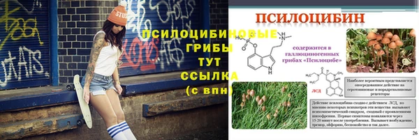 метадон Лабытнанги