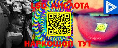 МДПВ Обь