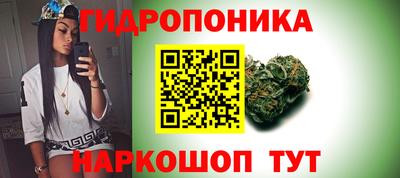 крисы Обнинск