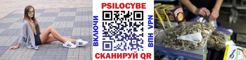 ссылка на мегу ONION  купить  цена  Аксай  Галлюциногенные грибы Cubensis 