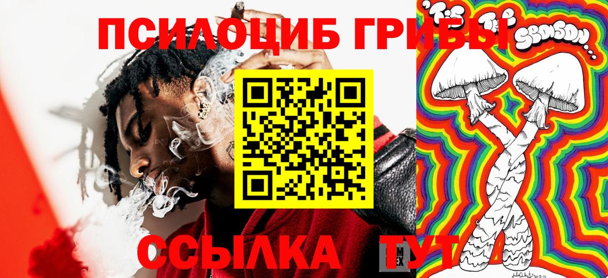 Псилоцибиновые грибы Psilocybine cubensis Аксай