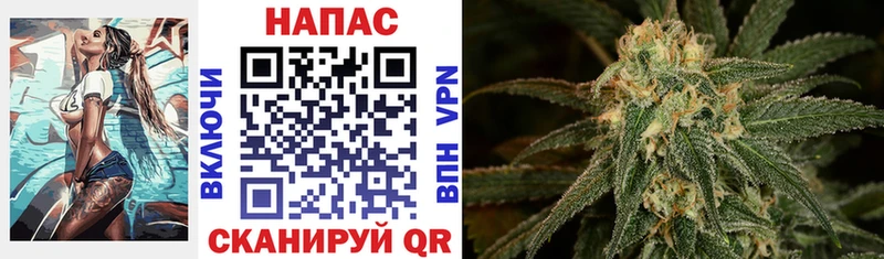 что такое   Аксай  Каннабис OG Kush 